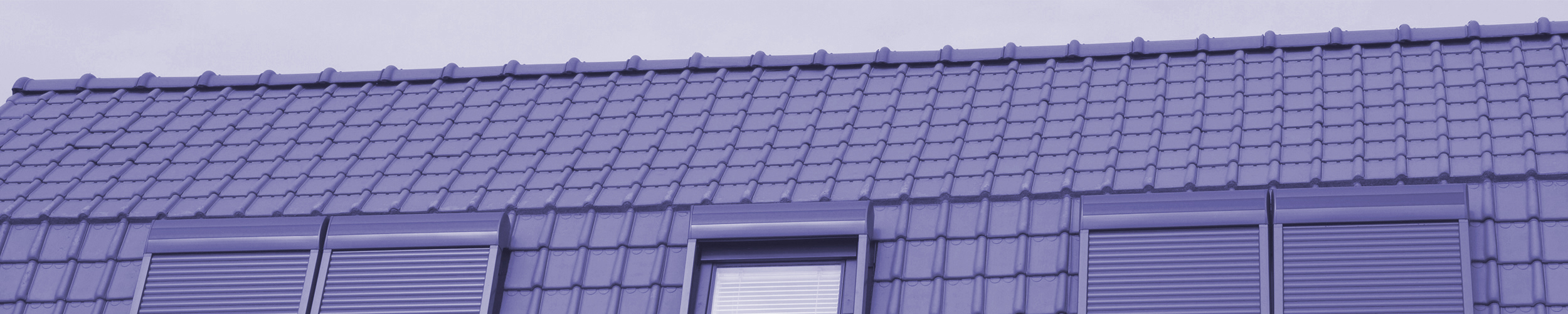 Dachfirst mit Dachfenstern - eingefärbt im Blauton des Firmenzeichens